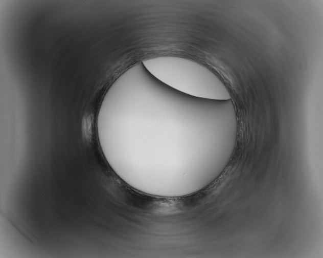 X0000100340118200806051233