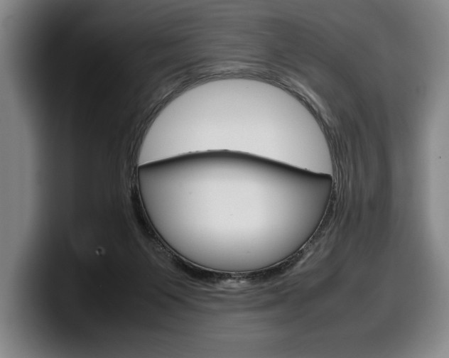 X0000100340119200806051233