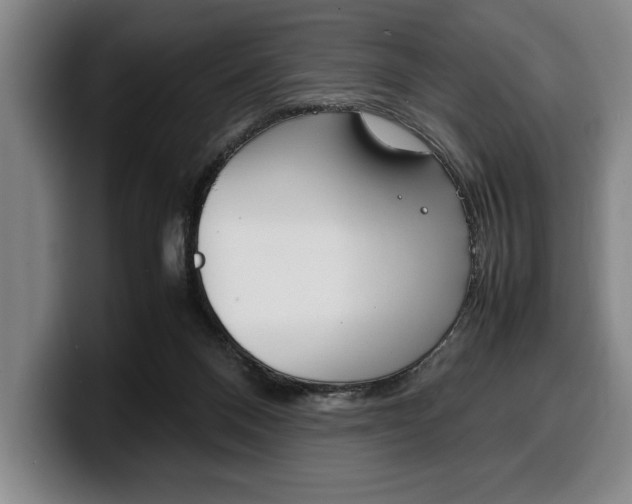 X0000100340120200806051233