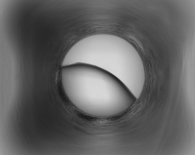 X0000100340123200806051233