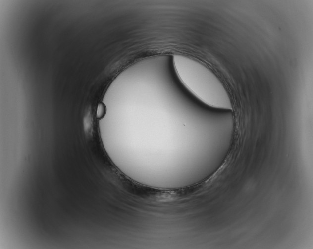 X0000100340124200806051233