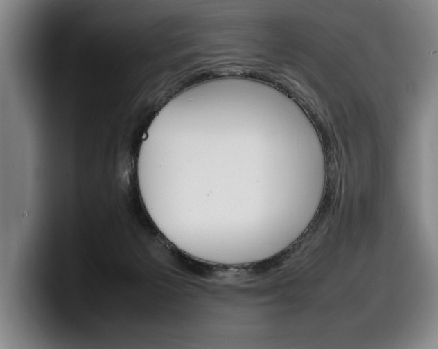 X0000100340125200806051233