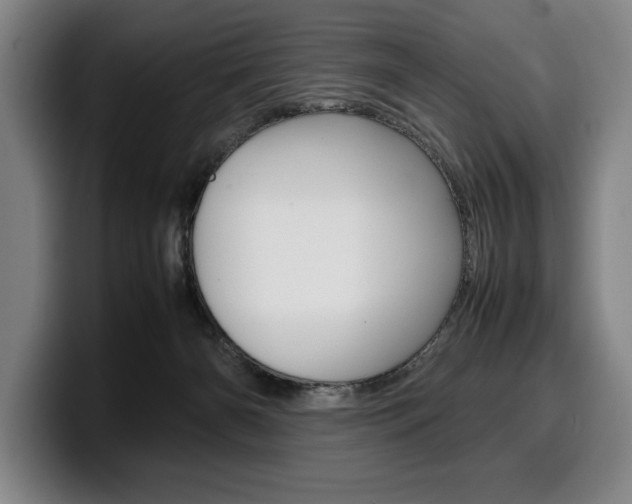 X0000100340126200806051233