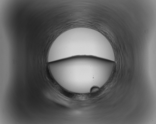 X0000100340127200806051233