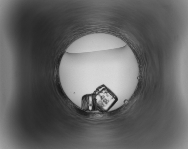 X0000100340129200806051233