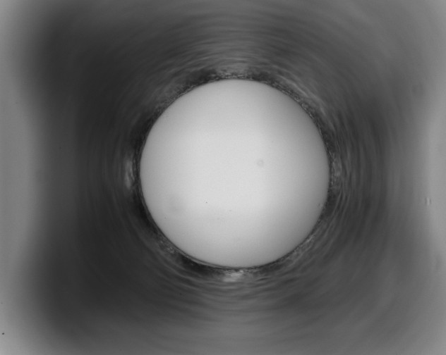 X0000100340130200806051233