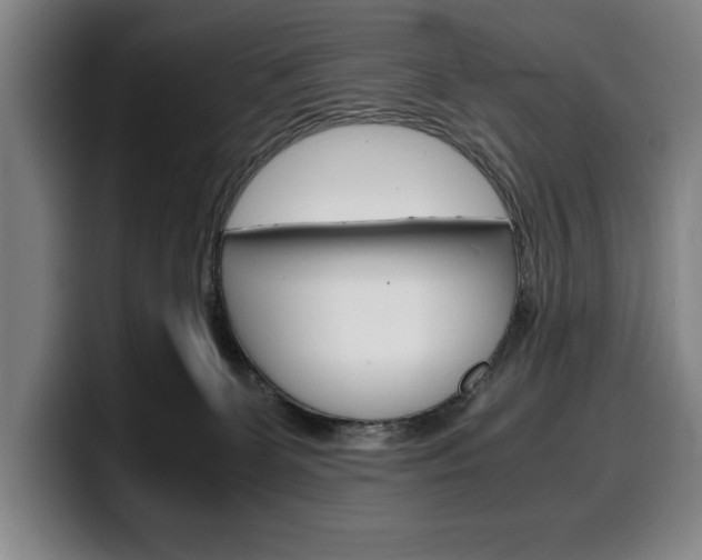 X0000100340131200806051233