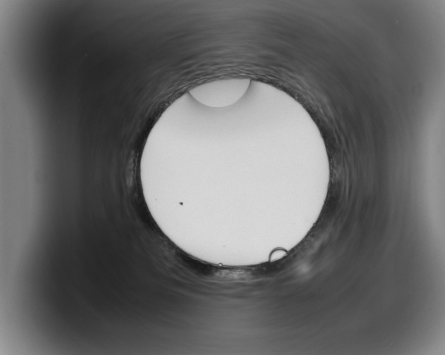 X0000100340133200806051233