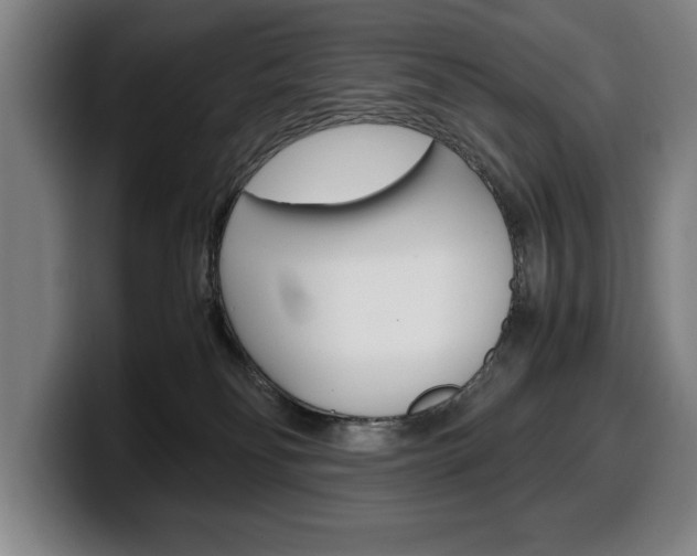 X0000100340134200806051233