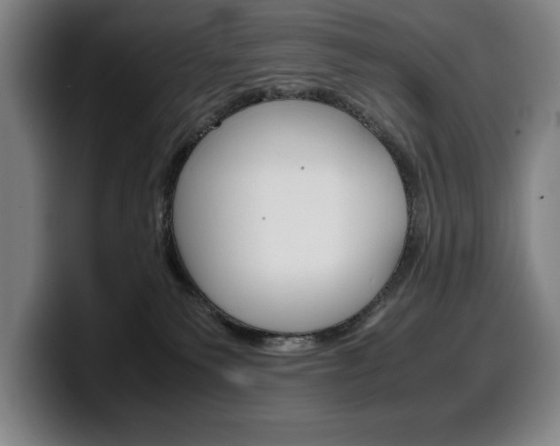 X0000100340135200806051233