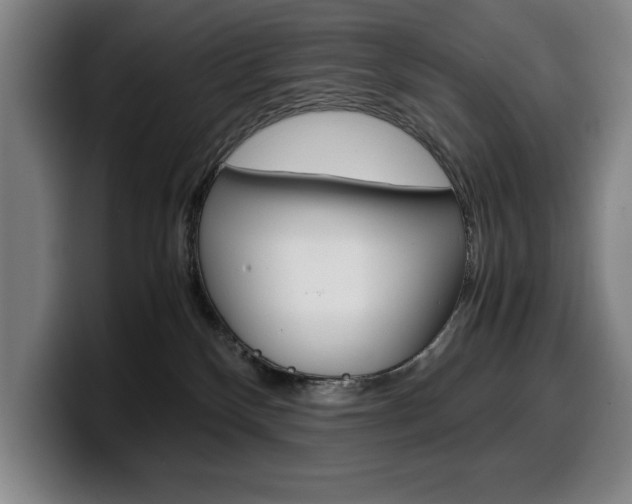 X0000100340136200806051233