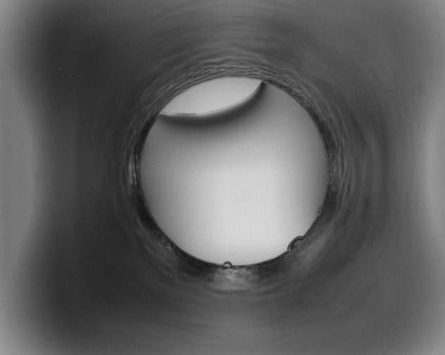 X0000100340137200806051233