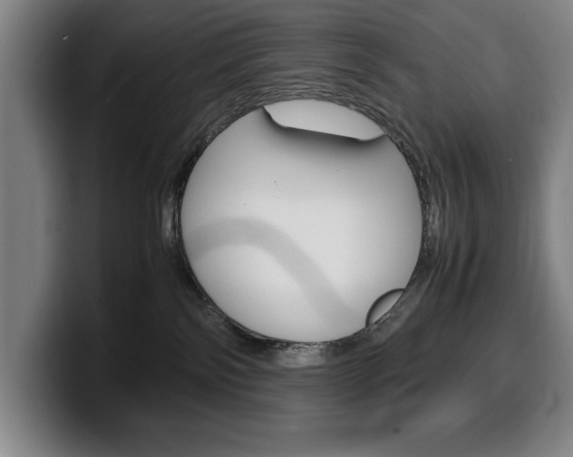 X0000100340138200806051233