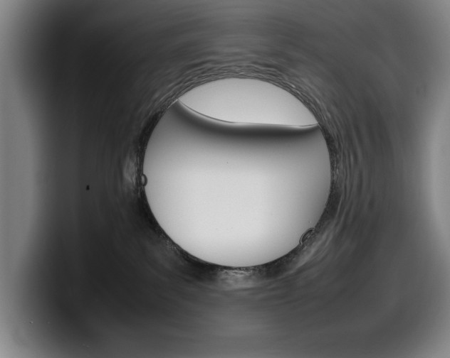 X0000100340139200806051233