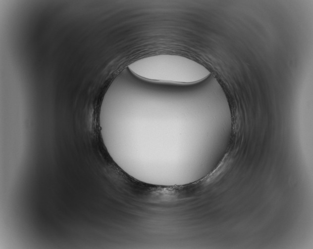 X0000100340140200806051233