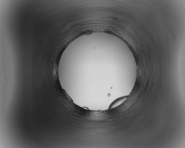 X0000100340141200806051233