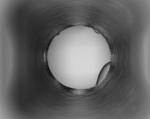X0000100340142200806051233