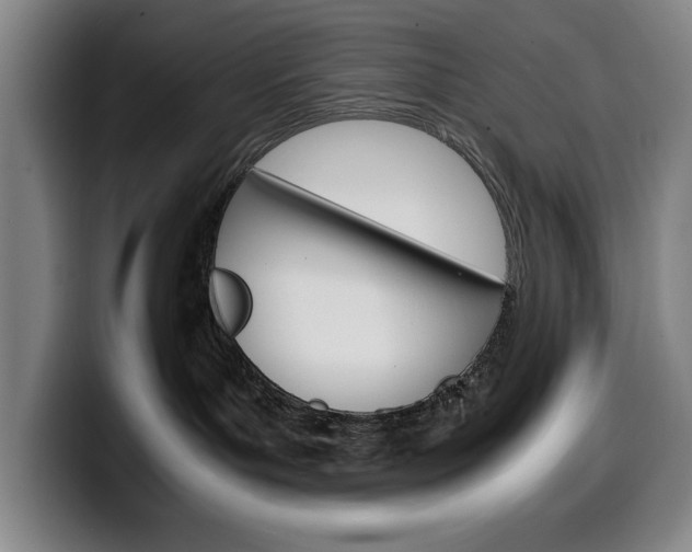 X0000100340143200806051233