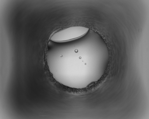 X0000100340144200806051233