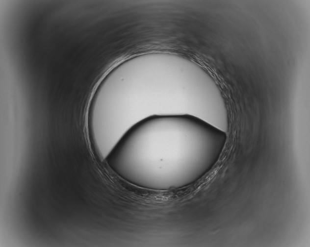 X0000100340148200806051232