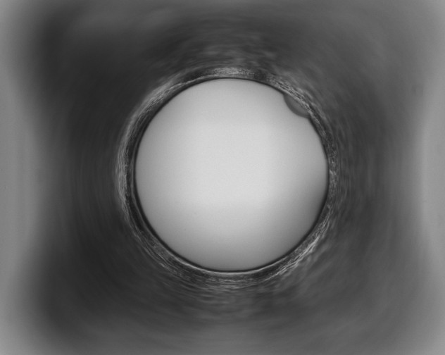 X0000100340149200806051232