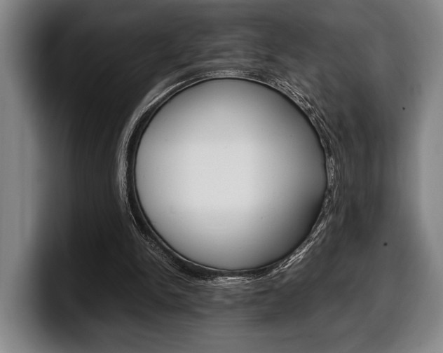 X0000100340150200806051232