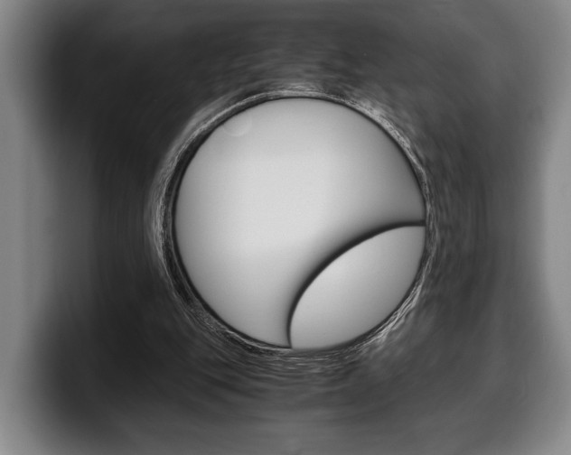 X0000100340151200806051232