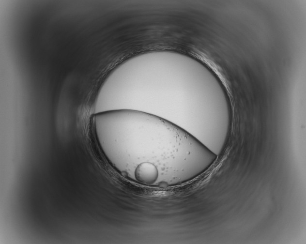 X0000100340153200806051232