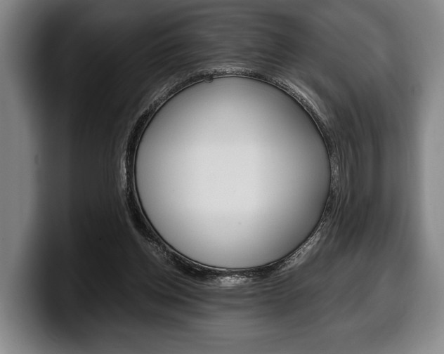 X0000100340158200806051232