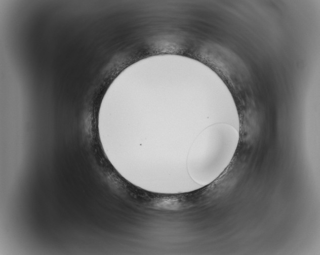 X0000100340162200806051232
