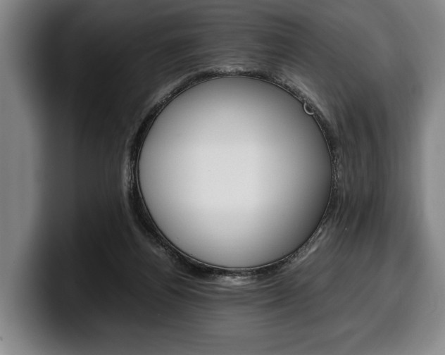 X0000100340164200806051232