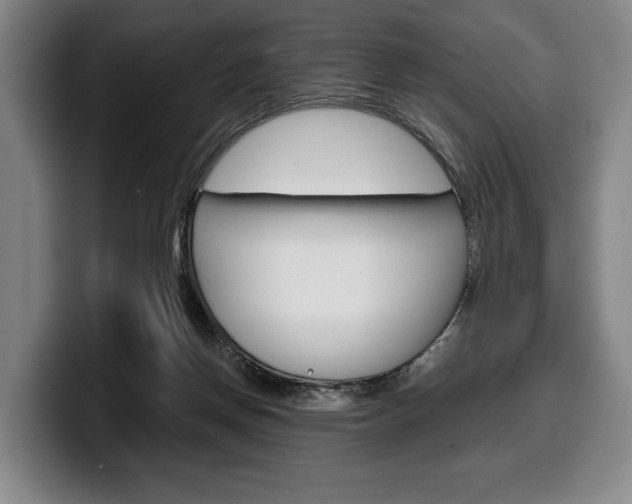 X0000100340166200806051232