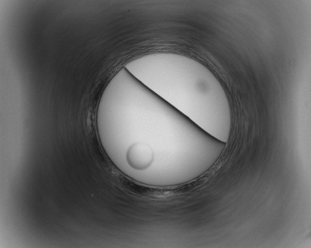X0000100340169200806051232