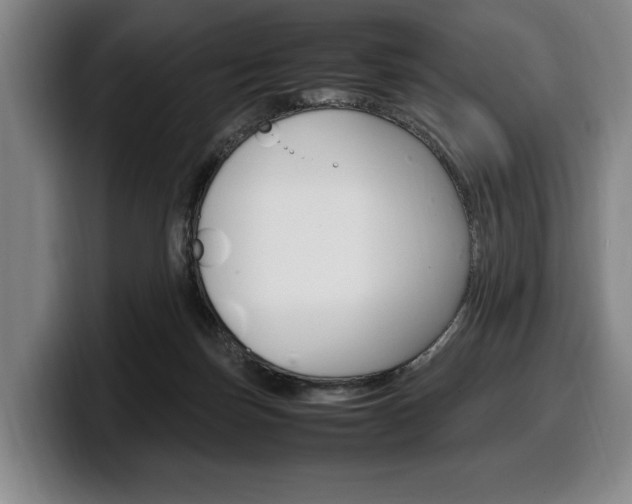 X0000100340171200806051232