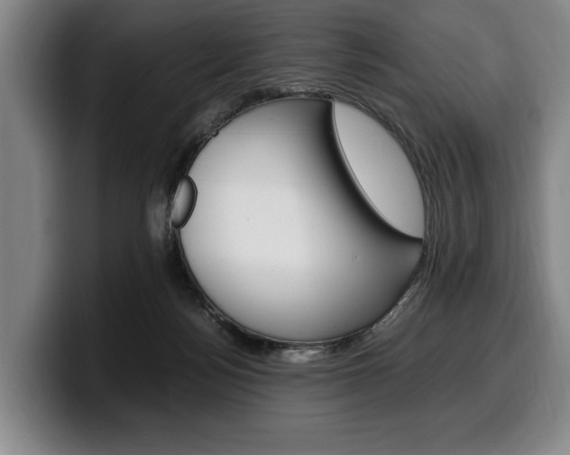 X0000100340172200806051232