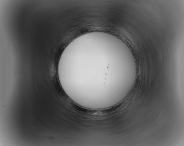 X0000100340173200806051232