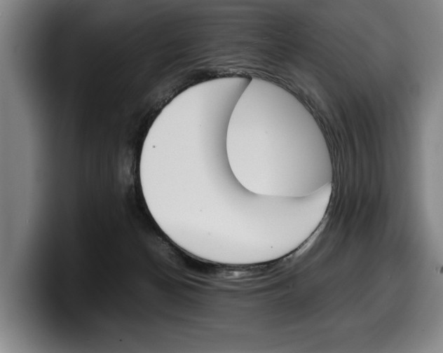 X0000100340174200806051232