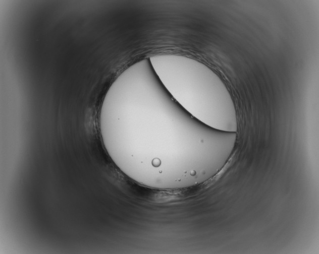 X0000100340179200806051232