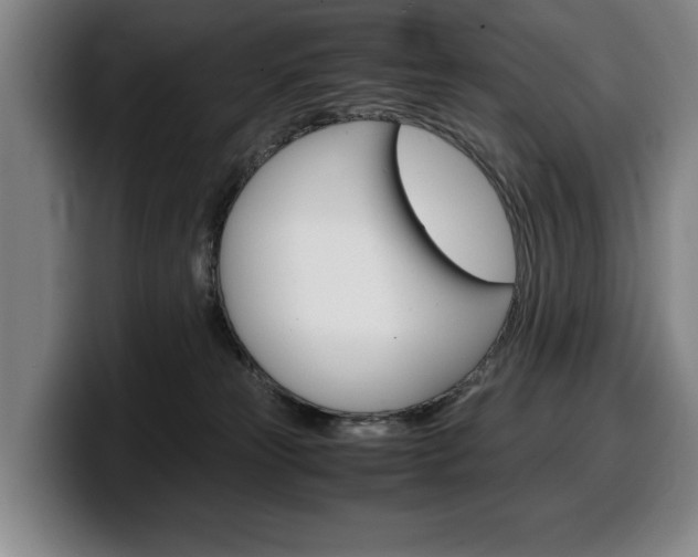 X0000100340181200806051232