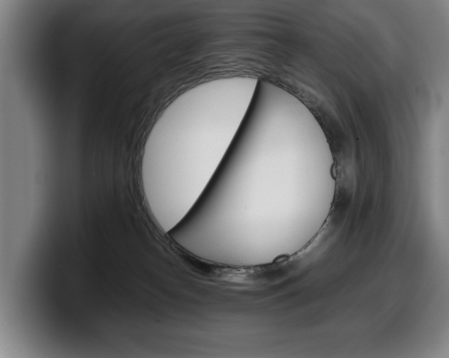 X0000100340182200806051233
