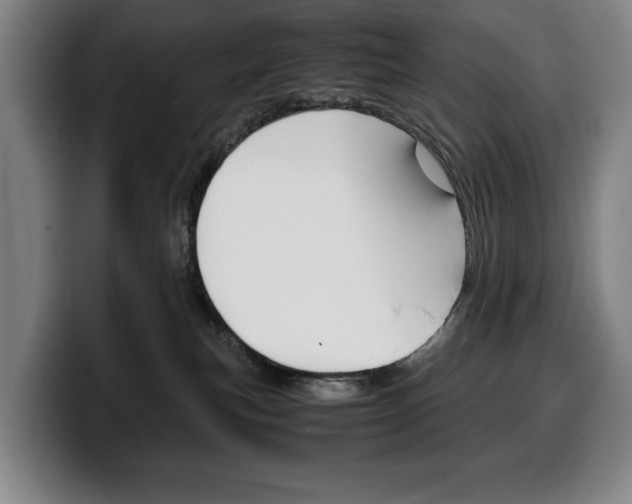 X0000100340183200806051233