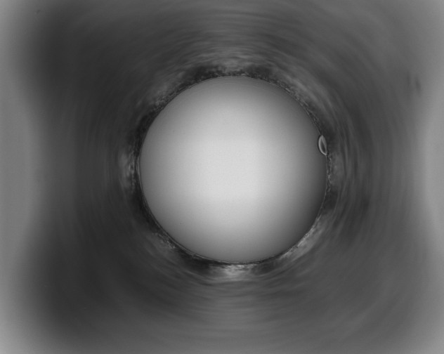 X0000100340184200806051233