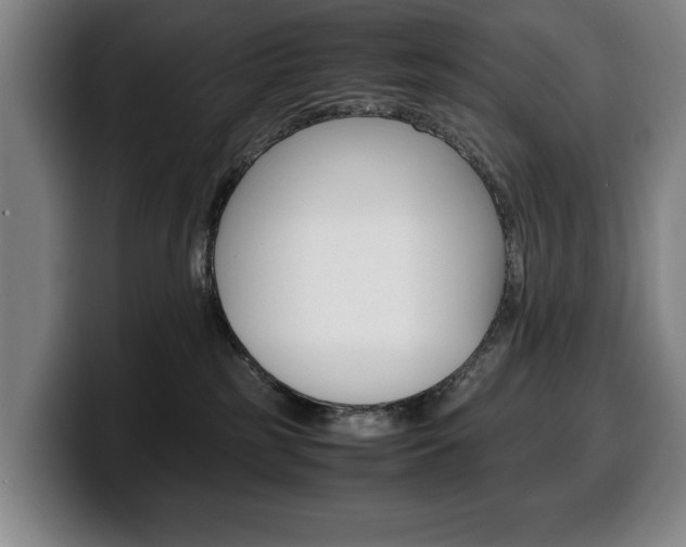 X0000100340185200806051233