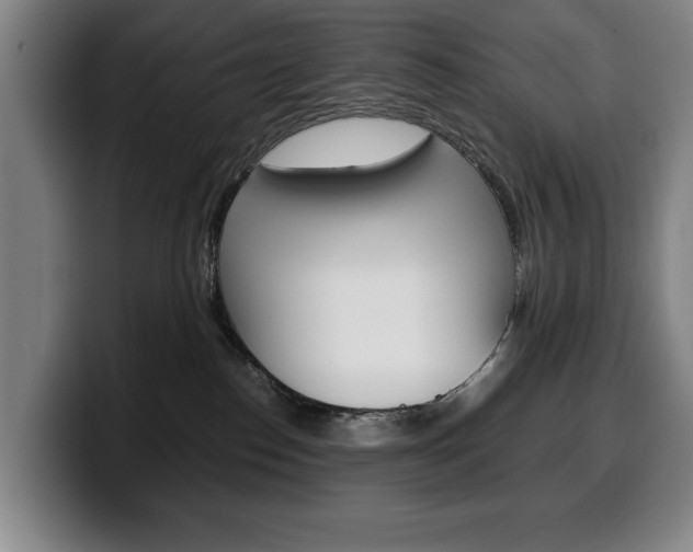 X0000100340186200806051233