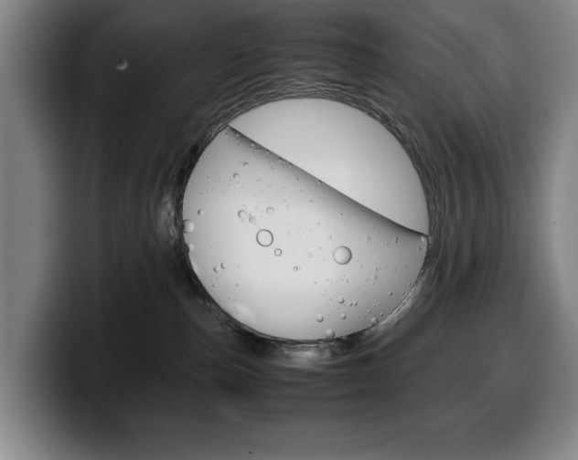 X0000100340187200806051233