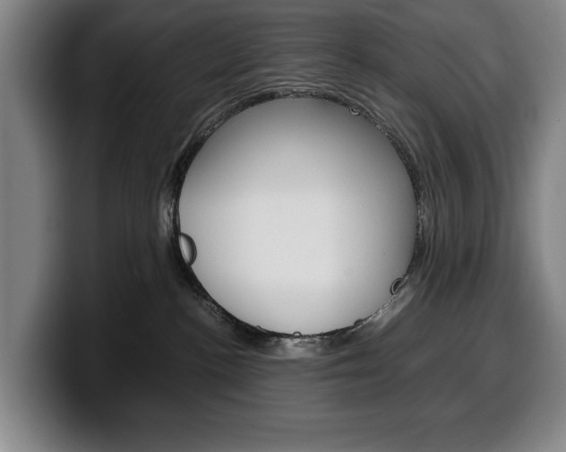 X0000100340188200806051233