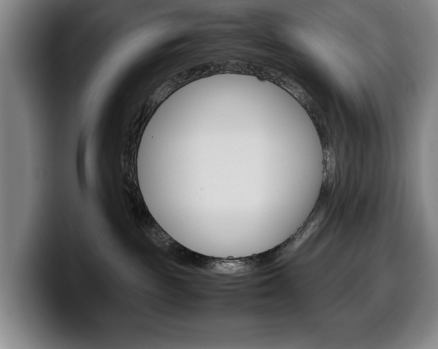 X0000100340189200806051233