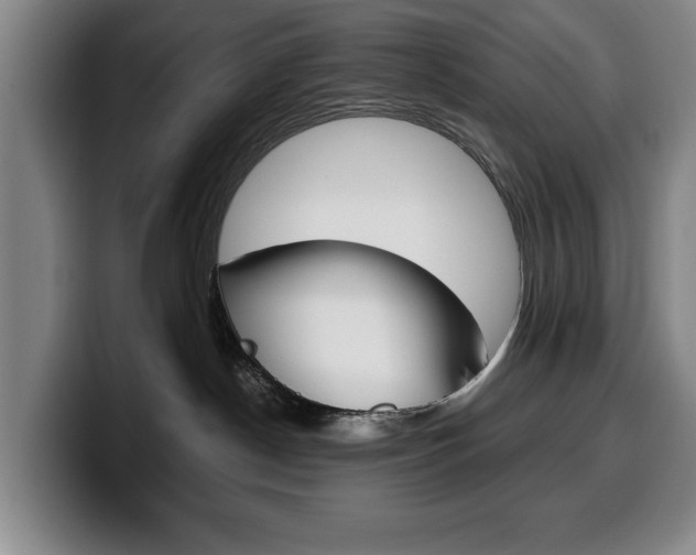X0000100340190200806051233