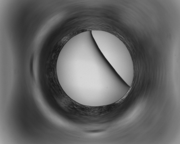 X0000100340191200806051233