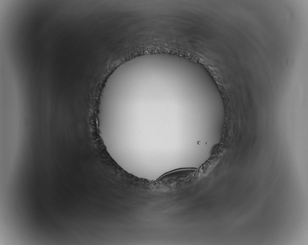 X0000100340192200806051233